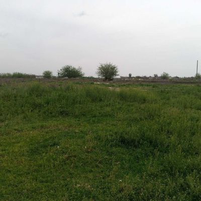 Продается земля 25 гектаров частная собственность(не 49 лет аренды)