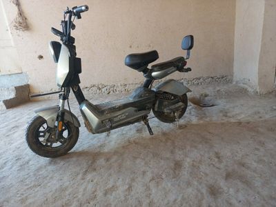 skutr