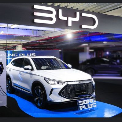 30% BILAN 36 OYga