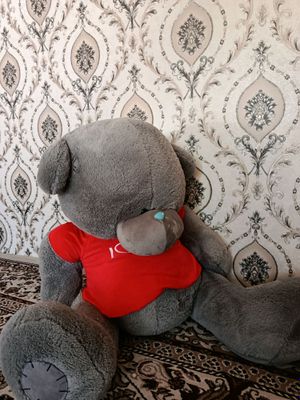 Teddy ayiq