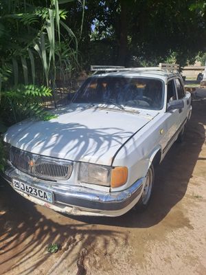 Volga gaz 31 10 gg