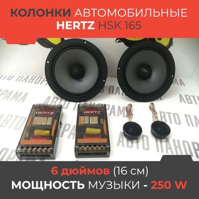 Kalonka zertz yangi