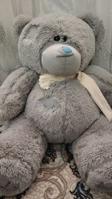 teddy