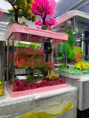 Nev Xitoy Akvariumlari