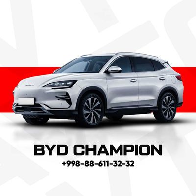 BYD champion 2025 SKIDKA