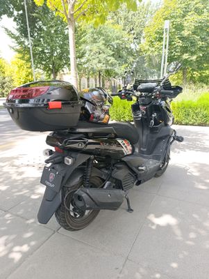 CAVALO TANK pro.1