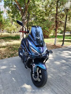 Benzinli Avenus TIGER