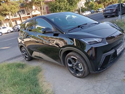 BYD Seygul 2024 йил 405 км лик