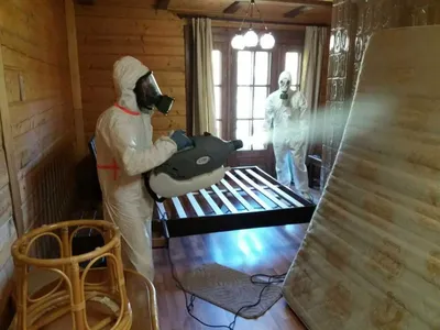 Dezinfeksiya pasha chivin tarakan chayon ilon дезинфекция клопов мух