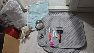 Аксессуары для кошек и собак