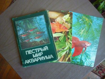 Набор Советских открыток..Книга "Аквариум в школе " изд. Москва. СССР