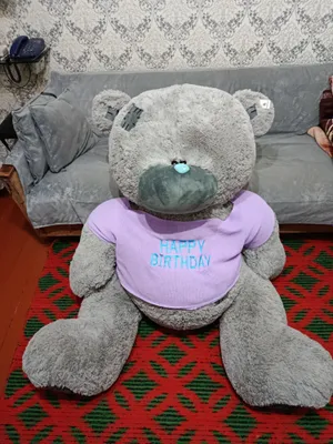 Мягкая игрушка Тэдди