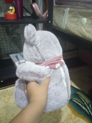 Мишка хорошим состояние