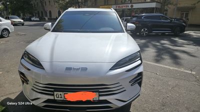 Byd chempion DMI 2024