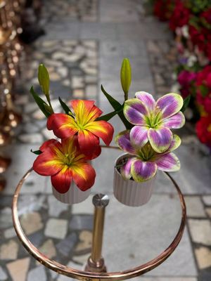 Flowers