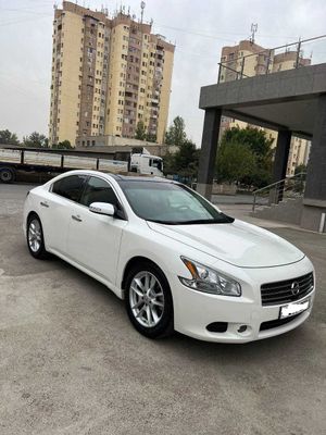 NISSAN Maxima Сотилади холати идеал 2009-йил