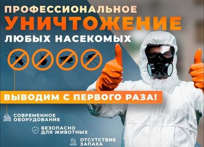Dezinfeksiya Дезинфекция Тараканов Клещи Блохи Клопы Запах туман