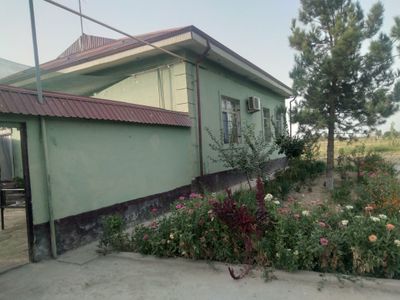 Узимники гишдан курилган