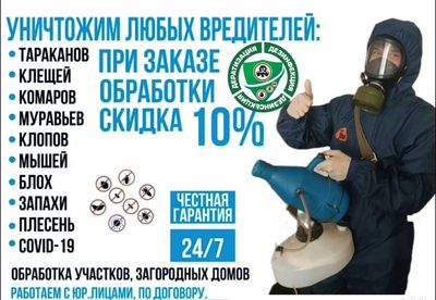 Дезинфекция от клопов дезинсекция dezinfeksiya dizinfeksiy klapa клоп