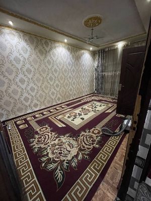 Ijaraga sheriklikka 5 6 ta talaba qizlarga
