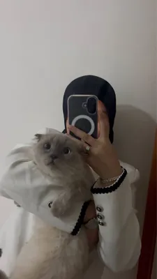 Siyamiskiy mushuk, vyazkaga, o’g’il bola