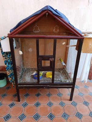 Qushlarga kafolat beraman
