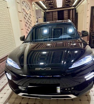 Byd Champion 605 electro insta _batusafarov
