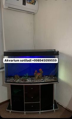 Srochni sotiladi!!! Akvarium 200Litr komplekt sotiladi