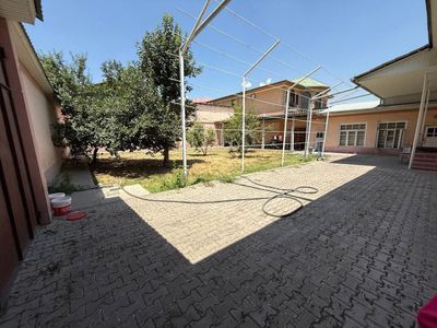 Дурмень Махаля Садаф 6 соток