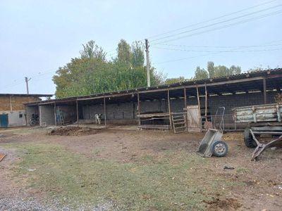 Уй жой бостирма молхона сотилади