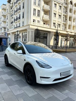 Tesla Model Y Dual Motor Long Range 2021/2022 America
