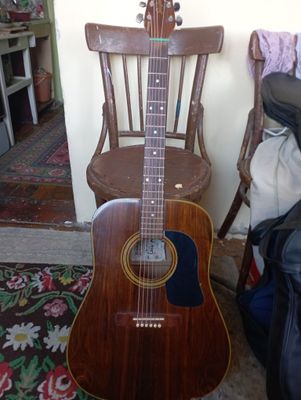 Gitara seajong b/u цена вместе с чехлом