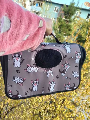 Переноска кошачья