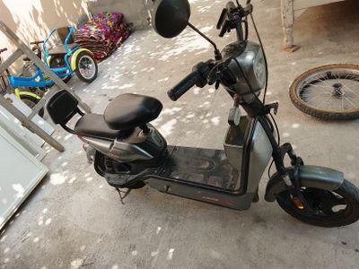 Sukutr sotiladi sirochni