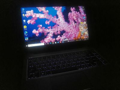 Hp probook 455 G7