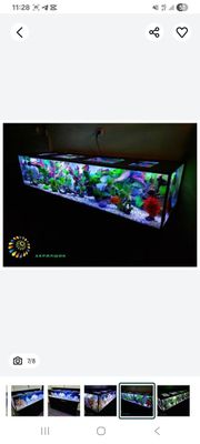 Akvarium tozalash hizmati