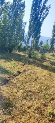 Продаётся земельный участок в Газалкенте посёлок Кызылсу