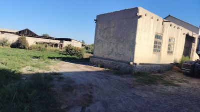 16 so'txlik uchaska sotiladi