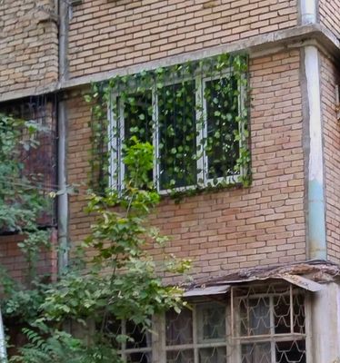 Срочно! 3 хонали уй ижарага берилади Козирабод