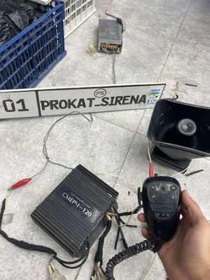 Elena bars 1ta karneli dodasii