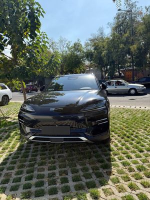 BYD chimpion smard holati idial