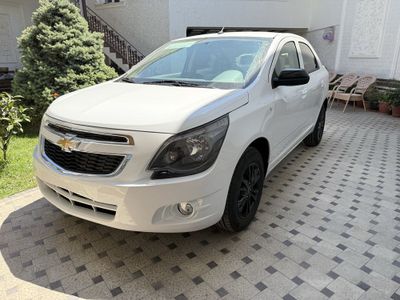 COBALT MIDNIGHT 2025-yil full pazitsa