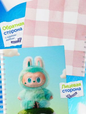 Общие тетради на пружине в клетку Лабубу