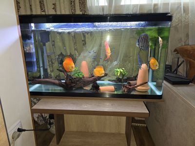 Продам аквариумы