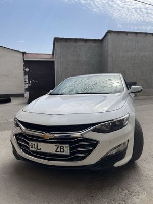 Malibu 2019 oq rang