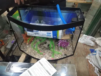 Аквариум овальные