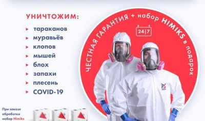 Dezinfeksiya klop klapa tarakan ilon burga daraxt | Dez | Dezinf | ДЕЗ