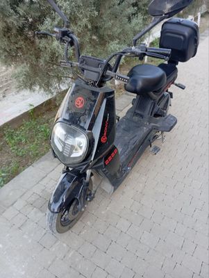 скутер туклик