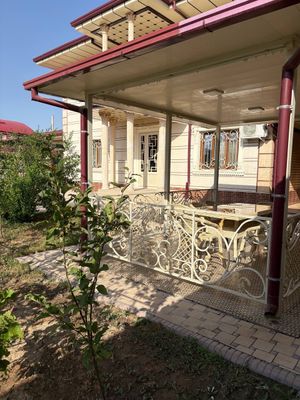 Дала Ховли-5сотх Чирчик Ором-Платина якинида