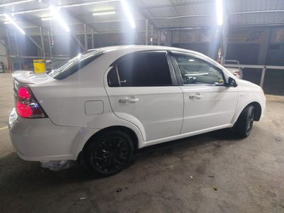 Srochna Jentra sotiladi korea